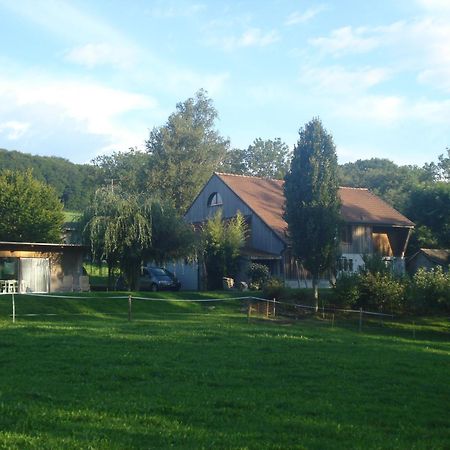 Bnb Pavillon Paisible Orsonnens Buitenkant foto